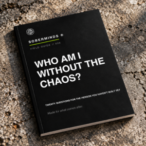 Who Am I Without the Chaos? Field Guide 006