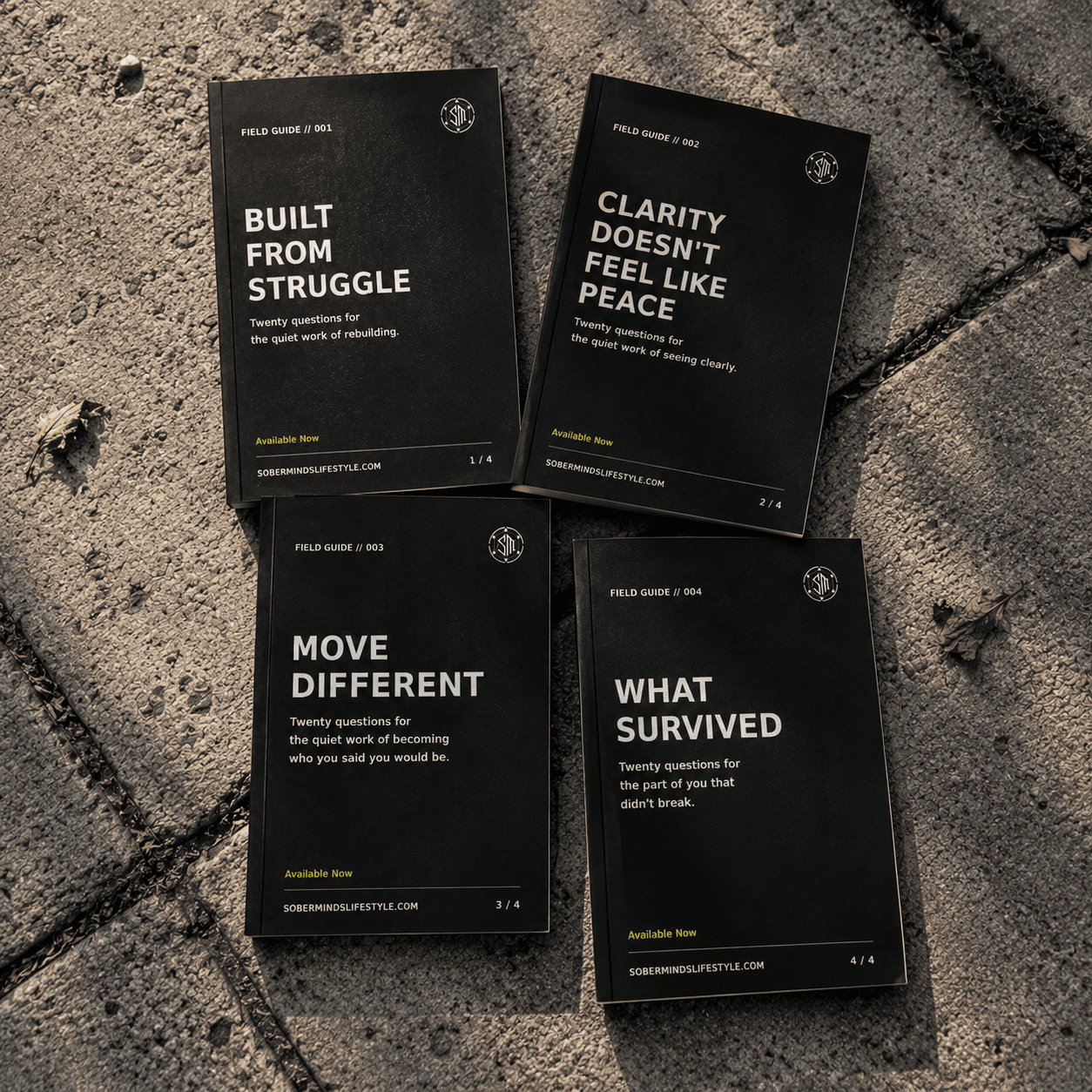 The Soberminds Collection — All Four Editorial Field Guides - Image 4