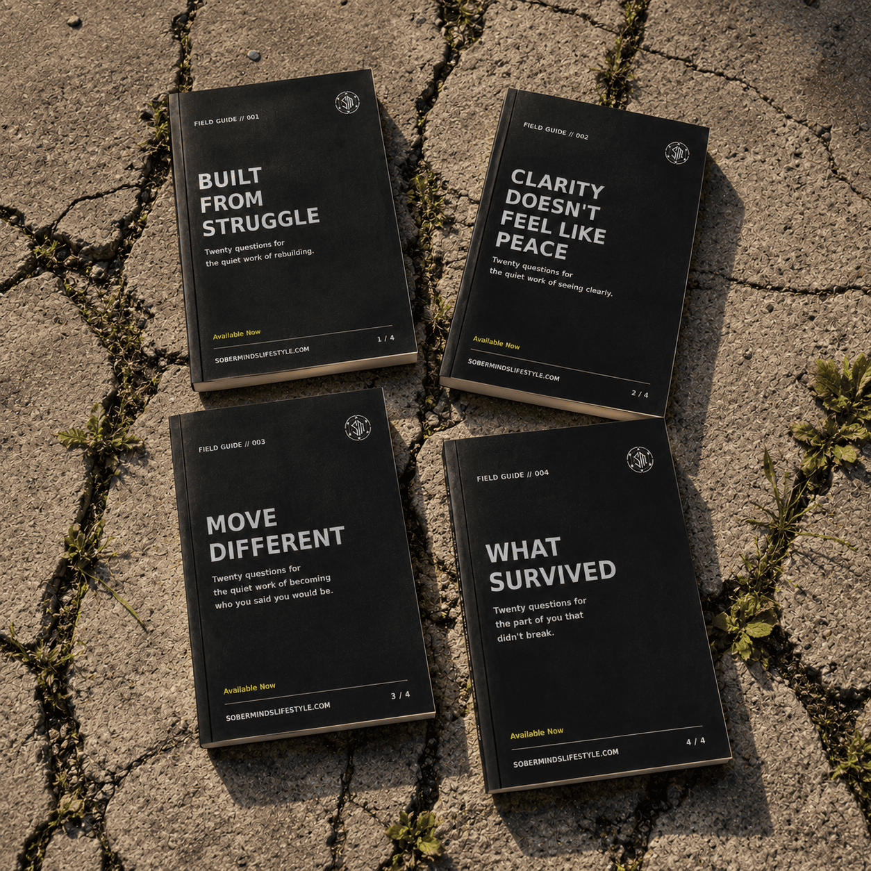 Soberminds Field Guide Collection — all four editorial guides