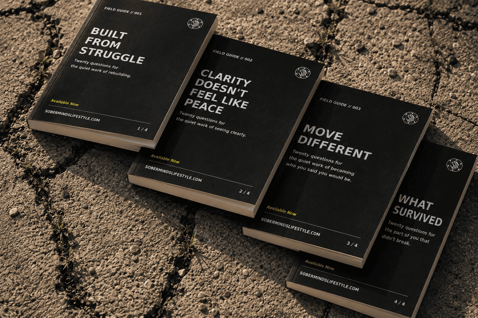 The Soberminds Collection — All Four Editorial Field Guides - Image 3