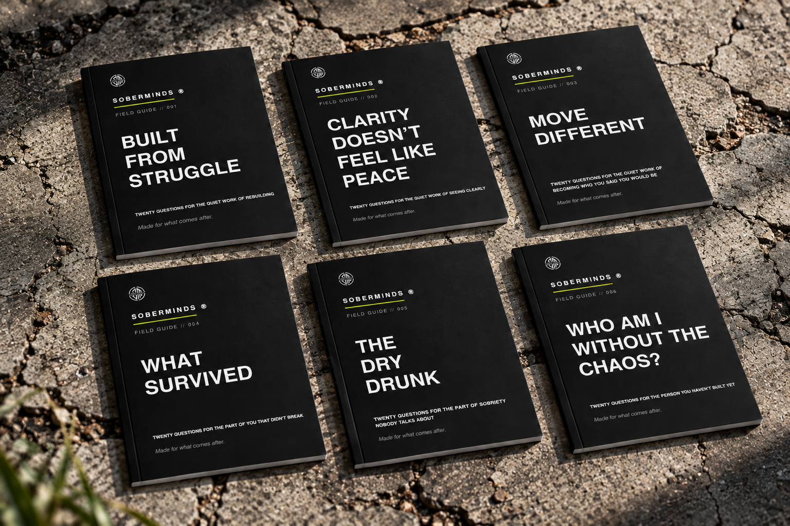 The complete Soberminds Field Guide Collection, all six editorial guides shown together.
