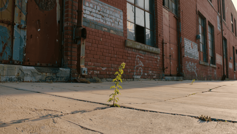 What Nobody Tells You About Starting Over at 40